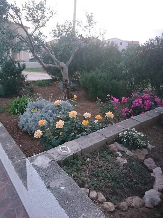 Apartments Zoran Povljana Croatia
